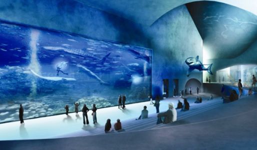 Blue Planet Aquarium