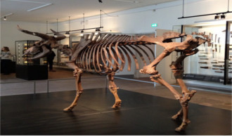 national-museum1